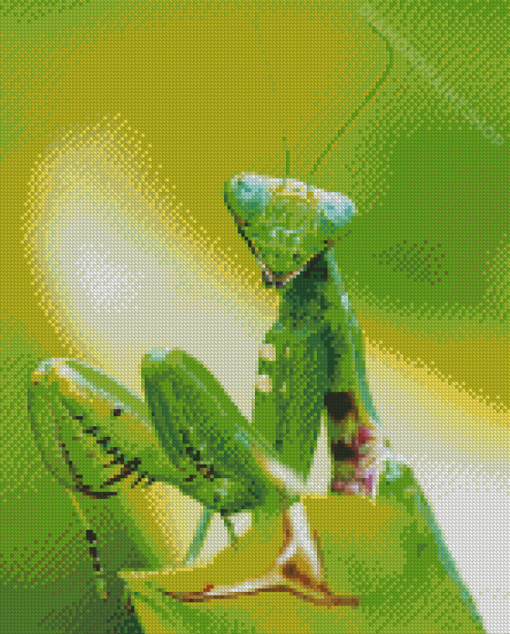 Green Praying Mantis Diamond Paintings