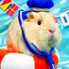 Guinea Pig Sailor Diamond Paintings