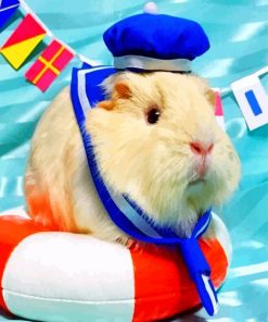 Guinea Pig Sailor Diamond Paintings