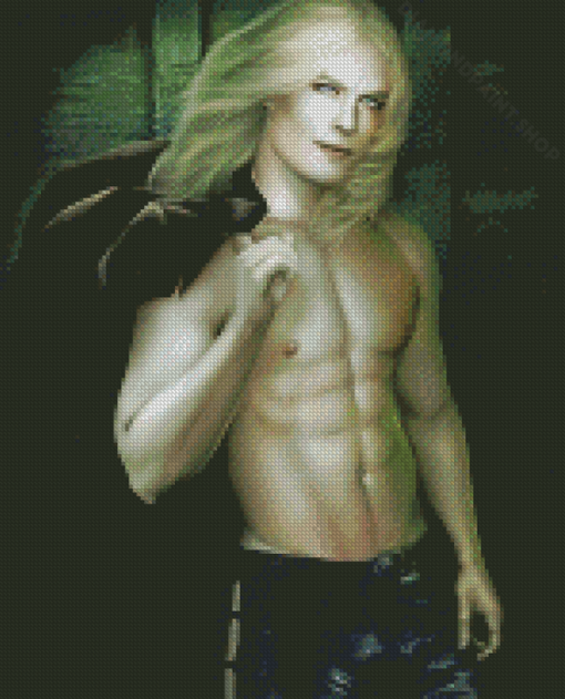 Handsome Lestat De Lioncourt Art Diamond Paintings