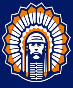 Illiniwek Logo Diamond Paintings