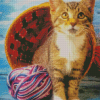 Kitten With Yarn Diamond Paintings