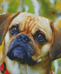 Puggle Puppy Diamond Paintings