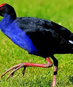 Pukeko Bird Diamond Piantings