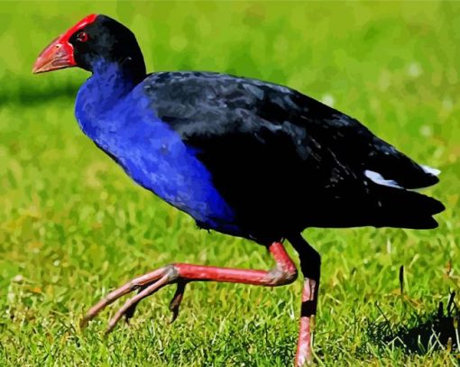 Pukeko Bird Diamond Piantings