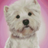 The West Highland Terrier Dog Diamond Paintings