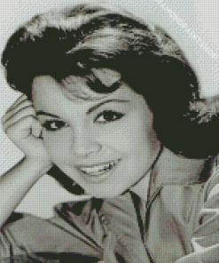 Actress Annette Funicello Diamond Paintings