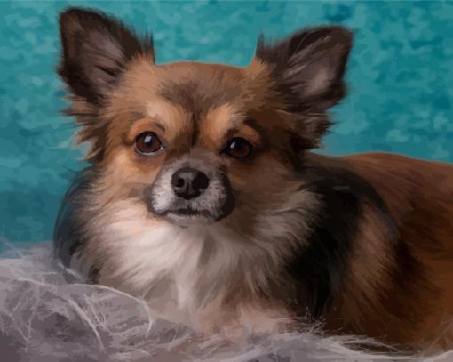 Adorable Long Haired Chihuahua Diamond Paintings