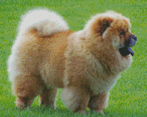 Aesthetic Chow Chow Diamond Paintings