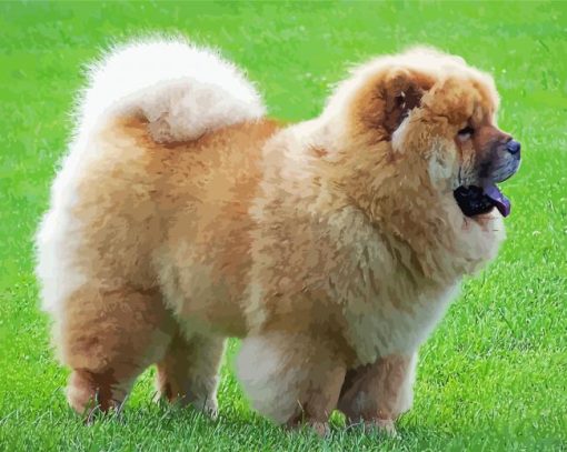 Aesthetic Chow Chow Diamond Paintings