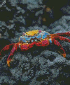 Aesthetic Crab Diamond Paintings