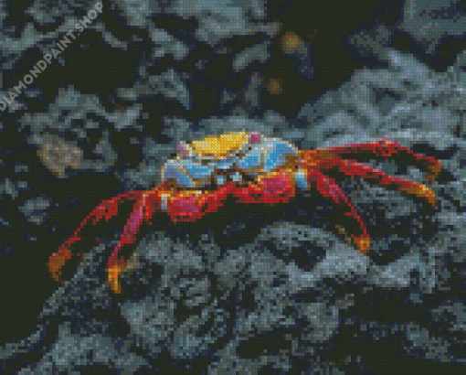 Aesthetic Crab Diamond Paintings