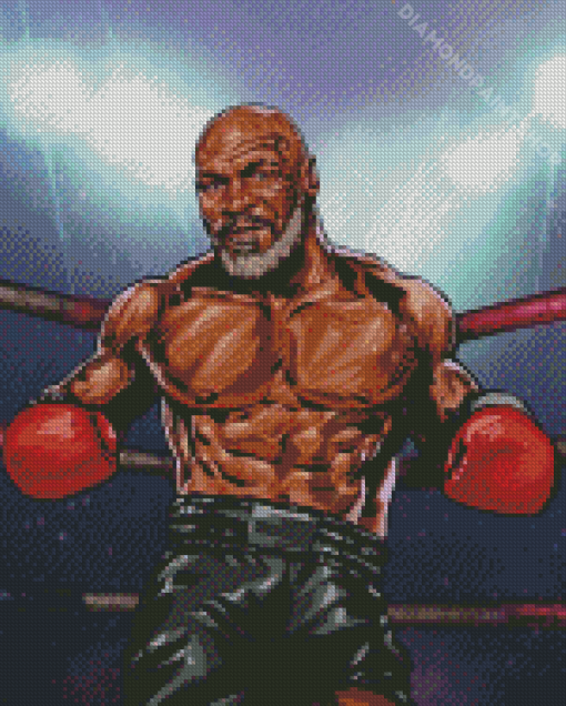 Aesthetic Mike Tyson Art Diamond Paintings