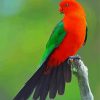 Australian King Parrot Diamond Paintings