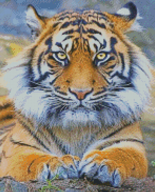 Beautiful Tiger Eyes Adulr Diamond Paintings