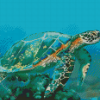 Blue Turtle Diamond Paintings