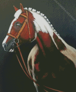 Brown And White Horse Art Diamond Paintings