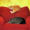 Cats On Red Sofa Diamond Paintings