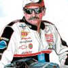 Dale Earnhardt Art Diamond Paintings