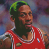 Dennis Rodman Diamond Paintings