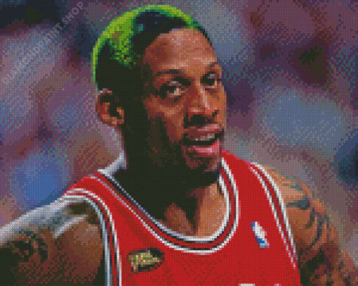 Dennis Rodman Diamond Paintings