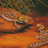 Desert Gecko Reptiles Diamond Paintings