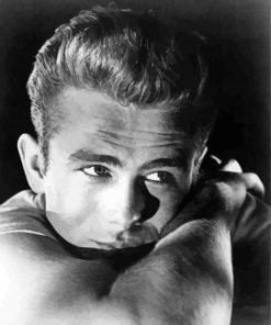 Enigma Of James Dean Diamond Paintings