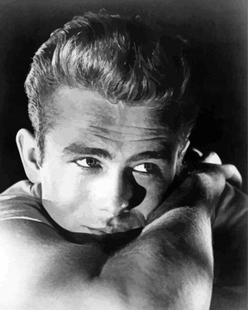 Enigma Of James Dean Diamond Paintings