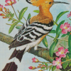 Hoopoe Bird Art Diamond Paintings