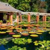 Huntsville Botanical Garden Diamond Paintings