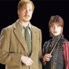 Nymohadora Tonks And Remus Lupin Diamond Paintings