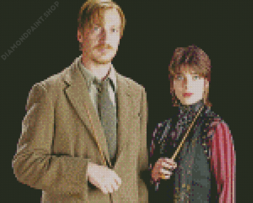 Nymohadora Tonks And Remus Lupin Diamond Paintings