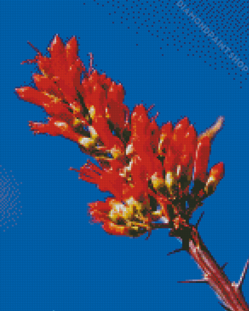 Ocotillo Flowering Plant Diamond Paintings