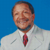 Redd Foxx Diamond Paintings