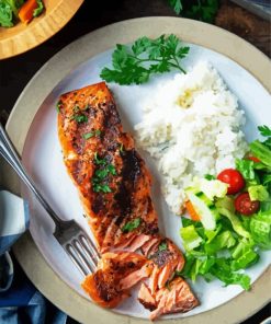 Salmon Fish With Rice Diamond Paintings