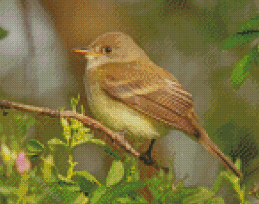 The Flycatcher Bird Diamond Paintings