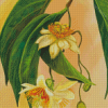 The Passionflower Diamond Painting