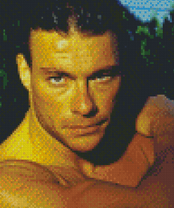 Actor Jean Claude Van Damme Diamond Paintings