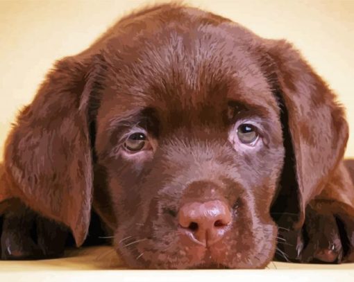 Aestehtic Brown Labrador Diamond Paintings