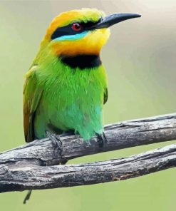 Aesthetic Bee Eater Diamond Paintings