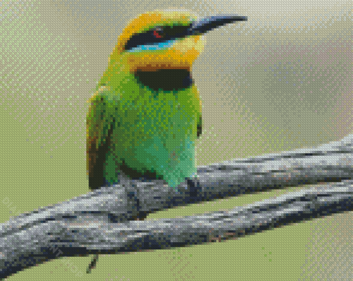 Aesthetic Bee Eater Diamond Paintings