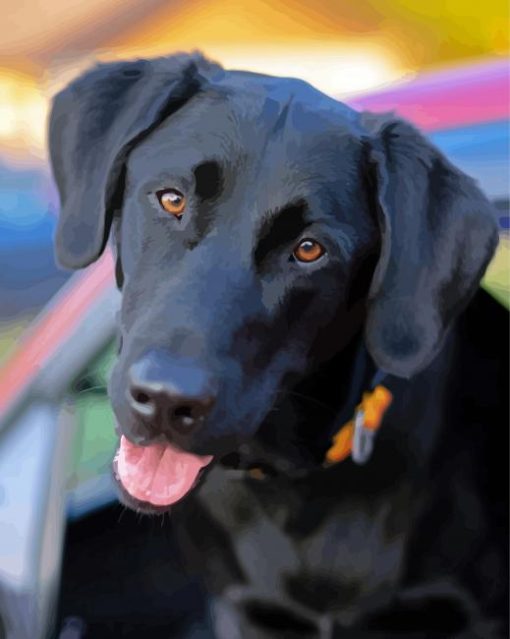 Aesthetic Black Labs Diamond Paintings