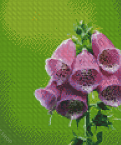 Aesthetic Foxglove Illustration Diamond Paintings