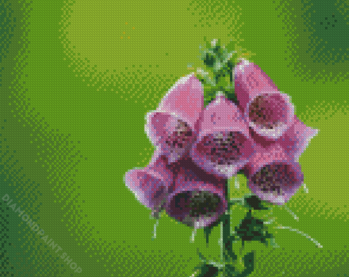 Aesthetic Foxglove Illustration Diamond Paintings