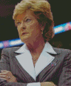 Aesthetic Pat Summitt Diamond Paintings