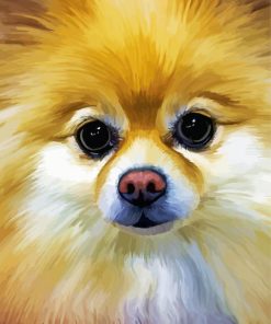 Aesthetic Pomchi Dog Diamond Paintings