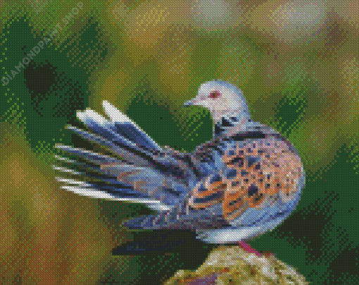 Aesthetic Turtle Dove Diamond Paintings