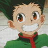 Aesthetic Gon Freecss Diamond Paintings