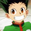 Aesthetic Gon Freecss Diamond Paintings