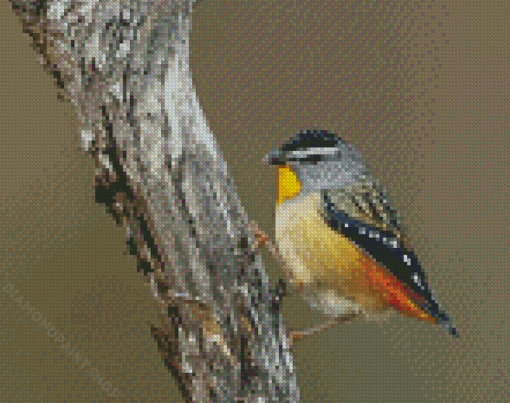 Aesthetic Pardalote Diamond Paintings